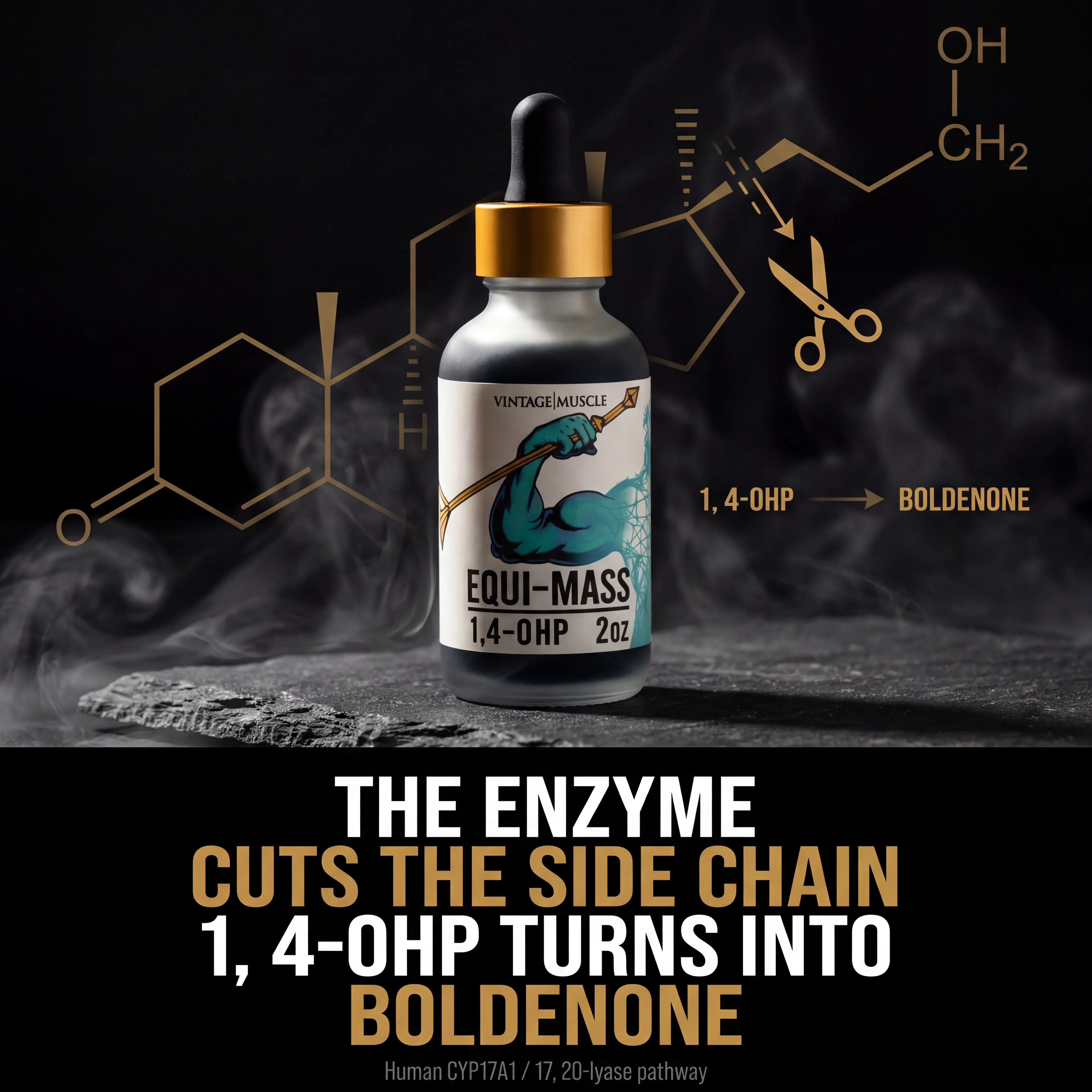 Hardgainer, Recovery, Mass Builder Blend - Equi-Mass™ - Image 4