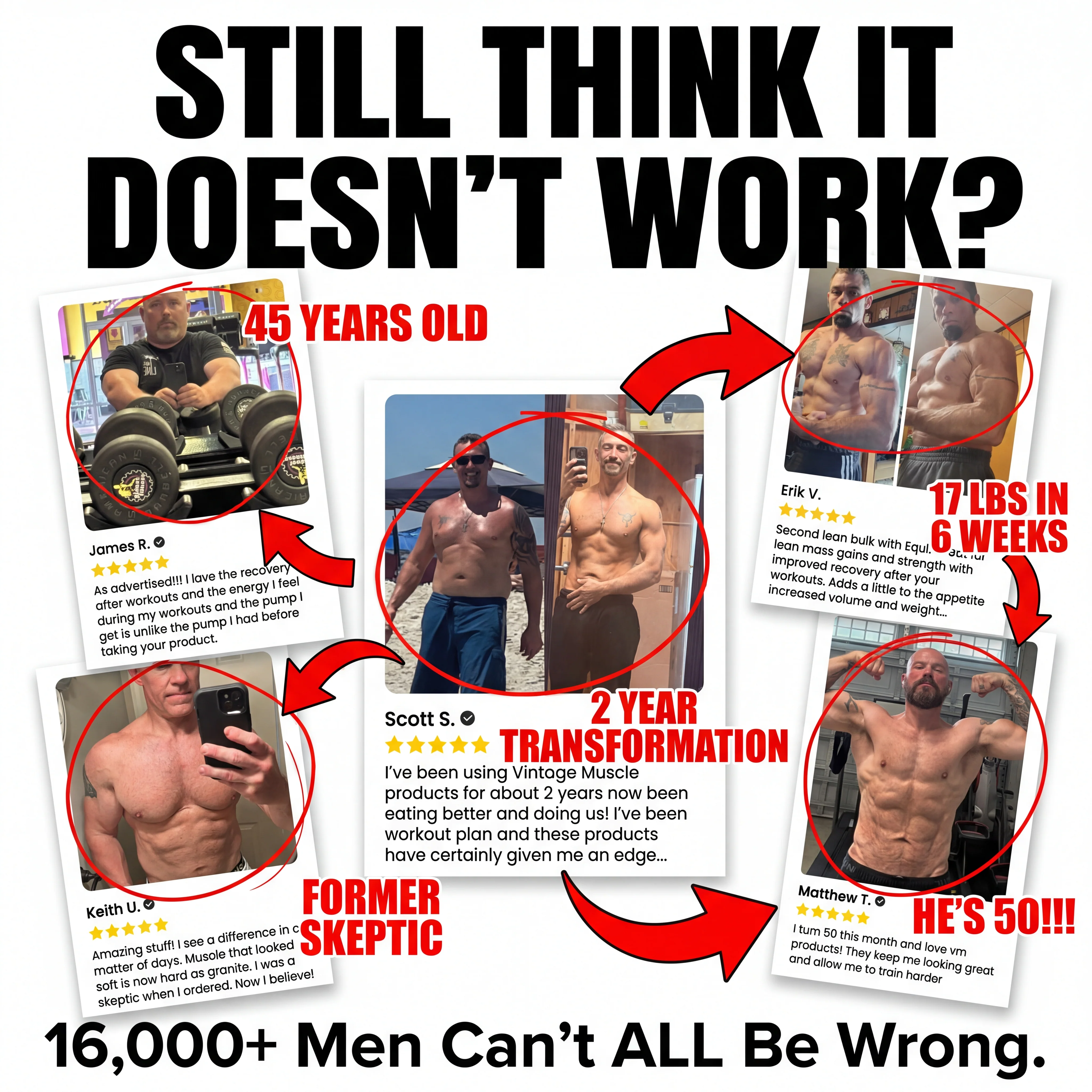 Myostatin Inhibitor Muscle Builder - MYO-11 - Image 11